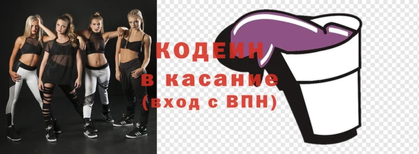 дмт Гусев