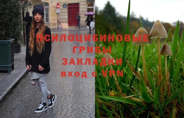 МДПВ Гусиноозёрск