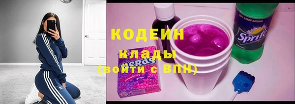 PSILOCYBIN Гусь-Хрустальный