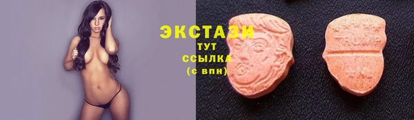 дмт Гусев
