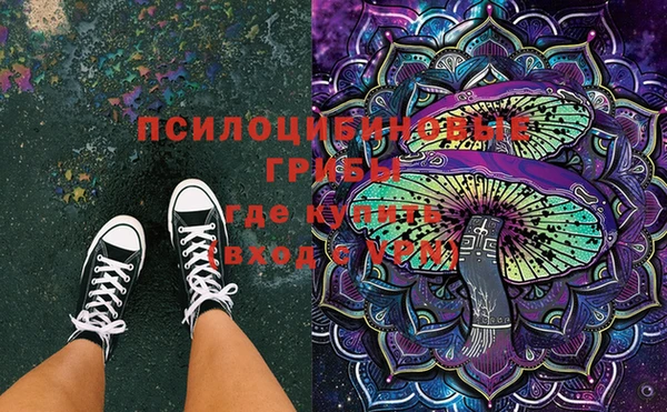 PSILOCYBIN Гусь-Хрустальный