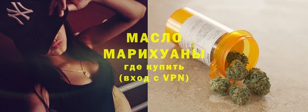 дмт Гусев