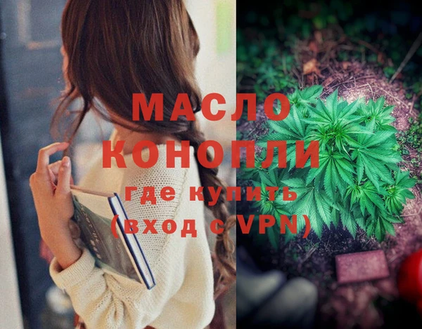 дмт Гусев